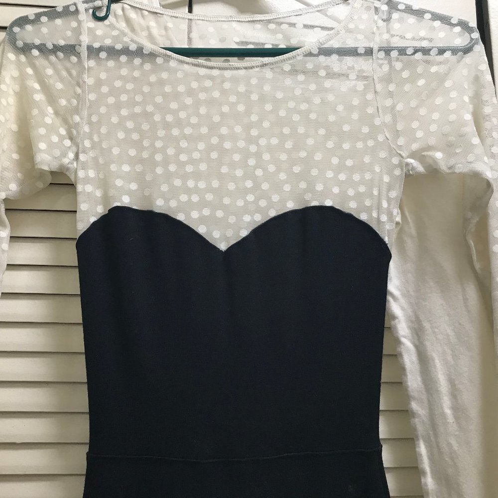 Long Sleeve Sheer Dress